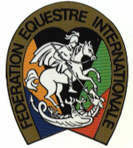 Logo FEI