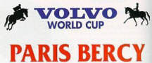 Logo Pucharu Świata